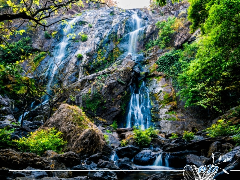 เช่ารถตู้เที่ยว ตาก